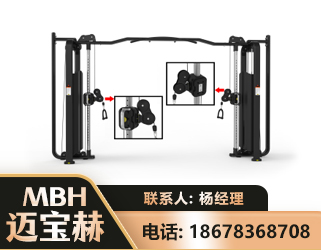 铜仁大飞鸟训练器